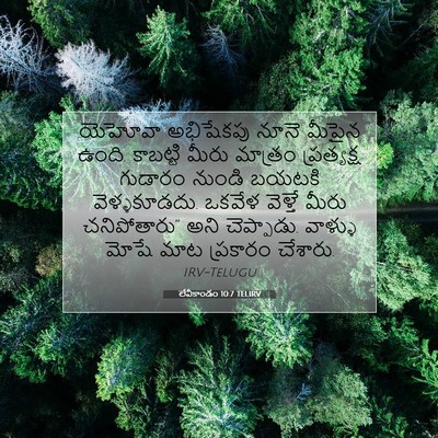 Picture 07 - లేవీకాండం 10:7 TELIRV - యెహోవా అభిషేకపు - Bible Verse Picture