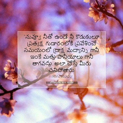 Picture 07 - లేవీకాండం 10:9 TELIRV - “నువ్వూ నీతో ఉండే - Bible Verse Picture