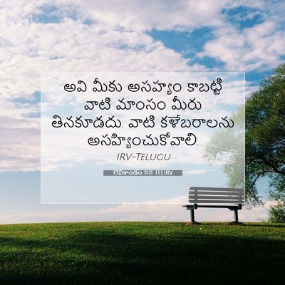 Picture 07 - లేవీకాండం 11:11 TELIRV - అవి మీకు అసహ్యం - Bible Verse Picture