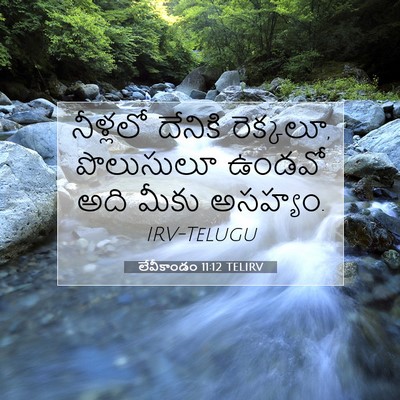Picture 07 - లేవీకాండం 11:12 TELIRV - నీళ్లలో దేనికి - Bible Verse Picture