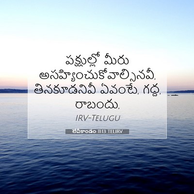 Picture 07 - లేవీకాండం 11:13 TELIRV - పక్షుల్లో మీరు - Bible Verse Picture