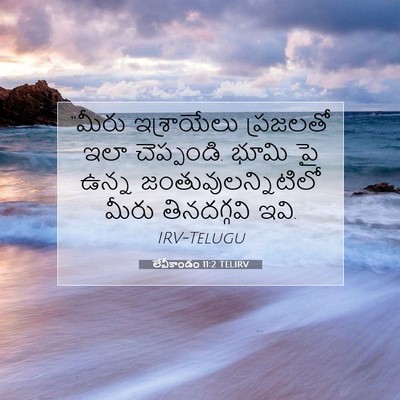 Picture 07 - లేవీకాండం 11:2 TELIRV - “మీరు ఇశ్రాయేలు - Bible Verse Picture