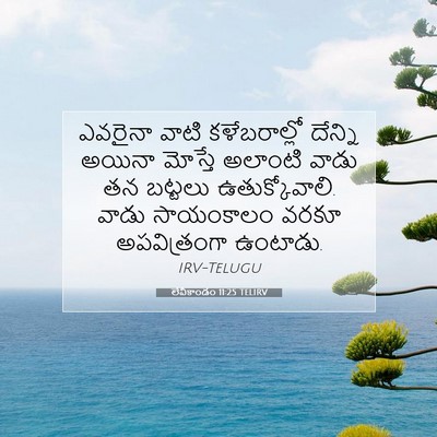 Picture 07 - లేవీకాండం 11:25 TELIRV - ఎవరైనా వాటి - Bible Verse Picture
