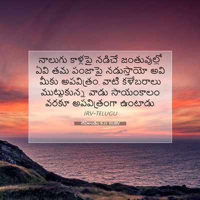 Picture 07 - లేవీకాండం 11:27 TELIRV - నాలుగు కాళ్లపై - Bible Verse Picture
