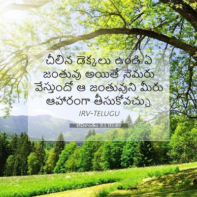 Picture 07 - లేవీకాండం 11:3 TELIRV - చీలిన డెక్కలు - Bible Verse Picture