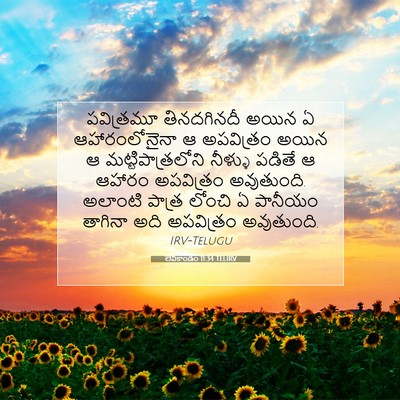 Picture 07 - లేవీకాండం 11:34 TELIRV - పవిత్రమూ - Bible Verse Picture