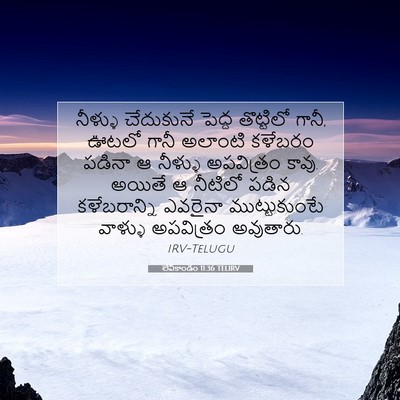 Picture 07 - లేవీకాండం 11:36 TELIRV - నీళ్ళు చేదుకునే - Bible Verse Picture