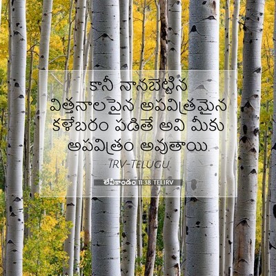 Picture 07 - లేవీకాండం 11:38 TELIRV - కానీ నానబెట్టిన - Bible Verse Picture