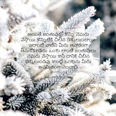 Picture 07 - లేవీకాండం 11:4 TELIRV - అయితే జంతువుల్లో - Bible Verse Picture