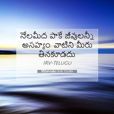 Picture 07 - లేవీకాండం 11:41 TELIRV - నేలమీద పాకే - Bible Verse Picture