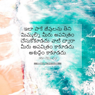 Picture 07 - లేవీకాండం 11:43 TELIRV - ఇలా పాకే జీవులను - Bible Verse Picture