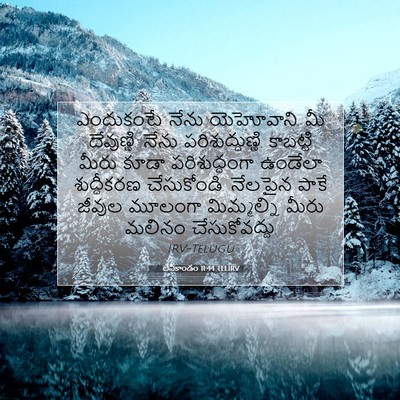 Picture 07 - లేవీకాండం 11:44 TELIRV - ఎందుకంటే నేను - Bible Verse Picture