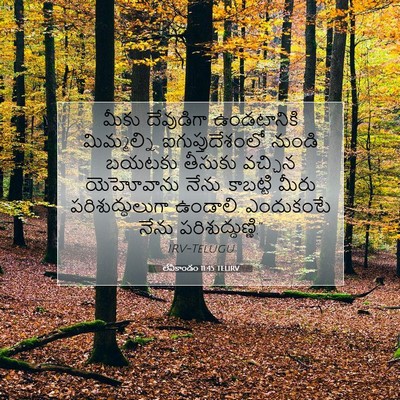 Picture 07 - లేవీకాండం 11:45 TELIRV - మీకు దేవుడిగా - Bible Verse Picture