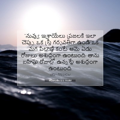 Picture 07 - లేవీకాండం 12:2 TELIRV - “నువ్వు ఇశ్రాయేలు - Bible Verse Picture