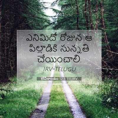 Picture 07 - లేవీకాండం 12:3 TELIRV - ఎనిమిదో రోజున ఆ - Bible Verse Picture