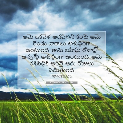 Picture 07 - లేవీకాండం 12:5 TELIRV - ఆమె ఒకవేళ - Bible Verse Picture