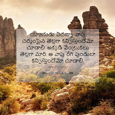 Picture 07 - లేవీకాండం 13:10 TELIRV - యాజకుడు ఏదన్నా - Bible Verse Picture