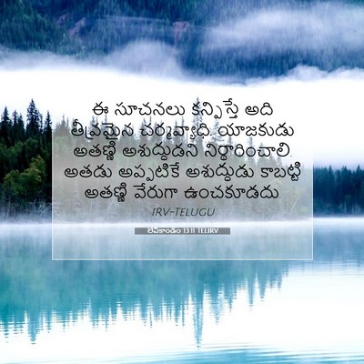Picture 07 - లేవీకాండం 13:11 TELIRV - ఈ సూచనలు - Bible Verse Picture
