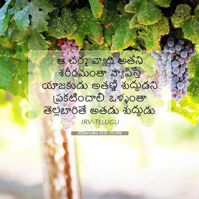 Picture 07 - లేవీకాండం 13:13 TELIRV - ఆ చర్మ వ్యాధి అతని - Bible Verse Picture