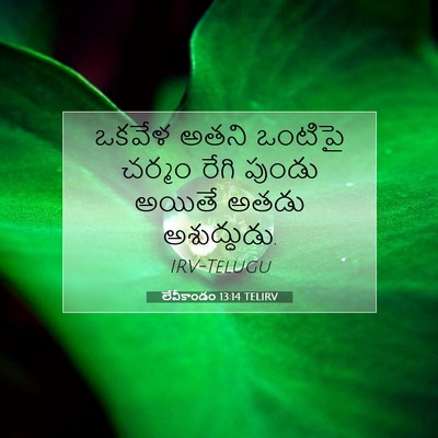 Picture 07 - లేవీకాండం 13:14 TELIRV - ఒకవేళ అతని ఒంటిపై - Bible Verse Picture