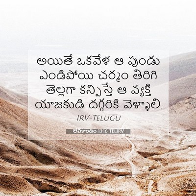 Picture 07 - లేవీకాండం 13:16 TELIRV - అయితే ఒకవేళ ఆ - Bible Verse Picture