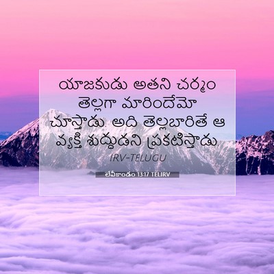 Picture 07 - లేవీకాండం 13:17 TELIRV - యాజకుడు అతని - Bible Verse Picture