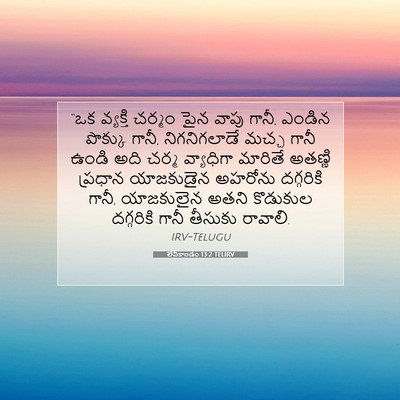 Picture 07 - లేవీకాండం 13:2 TELIRV - “ఒక వ్యక్తి చర్మం - Bible Verse Picture