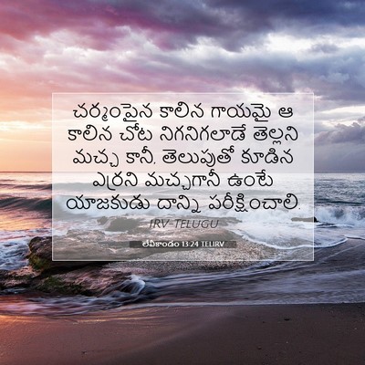 Picture 07 - లేవీకాండం 13:24 TELIRV - చర్మంపైన కాలిన - Bible Verse Picture