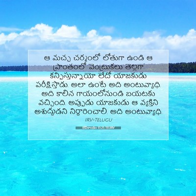 Picture 07 - లేవీకాండం 13:25 TELIRV - ఆ మచ్చ చర్మంలో - Bible Verse Picture