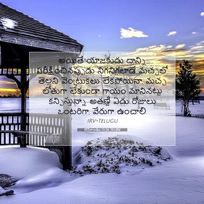 Picture 07 - లేవీకాండం 13:26 TELIRV - అయితే యాజకుడు - Bible Verse Picture