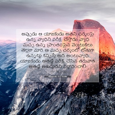 Picture 07 - లేవీకాండం 13:3 TELIRV - అప్పుడు ఆ యాజకుడు - Bible Verse Picture