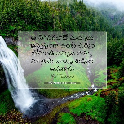 Picture 07 - లేవీకాండం 13:39 TELIRV - ఆ నిగనిగలాడే - Bible Verse Picture
