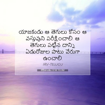Picture 07 - లేవీకాండం 13:50 TELIRV - యాజకుడు ఆ తెగులు - Bible Verse Picture