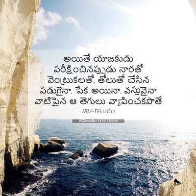 Picture 07 - లేవీకాండం 13:53 TELIRV - అయితే యాజకుడు - Bible Verse Picture