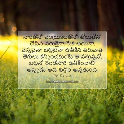 Picture 07 - లేవీకాండం 13:58 TELIRV - నారతోనో - Bible Verse Picture
