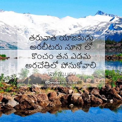 Picture 07 - లేవీకాండం 14:15 TELIRV - తరువాత యాజకుడు - Bible Verse Picture