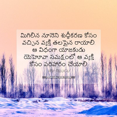 Picture 07 - లేవీకాండం 14:18 TELIRV - మిగిలిన నూనెని - Bible Verse Picture