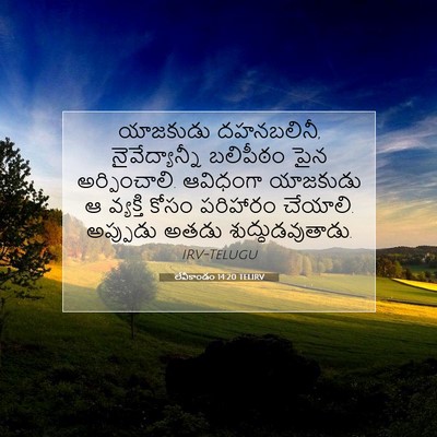 Picture 07 - లేవీకాండం 14:20 TELIRV - యాజకుడు దహనబలినీ, - Bible Verse Picture