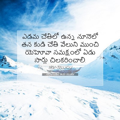 Picture 07 - లేవీకాండం 14:27 TELIRV - ఎడమ చేతిలో ఉన్న - Bible Verse Picture