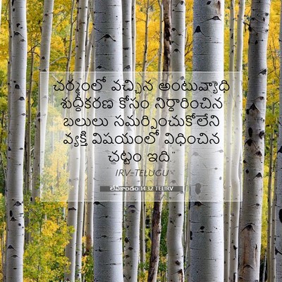 Picture 07 - లేవీకాండం 14:32 TELIRV - చర్మంలో వచ్చిన - Bible Verse Picture