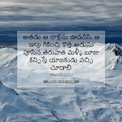 Picture 07 - లేవీకాండం 14:43 TELIRV - అతడు ఆ రాళ్లను - Bible Verse Picture