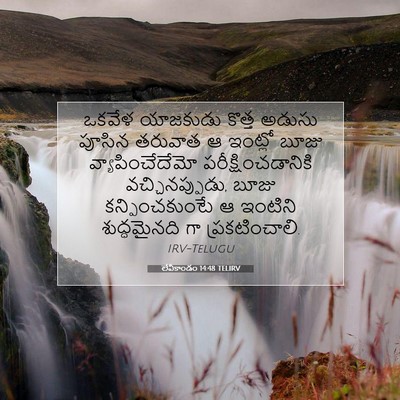 Picture 07 - లేవీకాండం 14:48 TELIRV - ఒకవేళ యాజకుడు - Bible Verse Picture