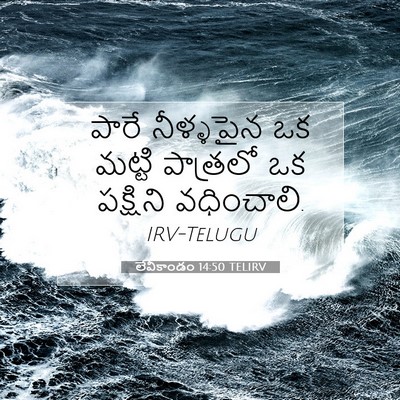 Picture 07 - లేవీకాండం 14:50 TELIRV - పారే నీళ్ళపైన ఒక - Bible Verse Picture