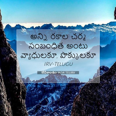 Picture 07 - లేవీకాండం 14:54 TELIRV - అన్ని రకాల చర్మ - Bible Verse Picture