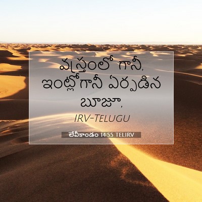 Picture 07 - లేవీకాండం 14:55 TELIRV - వస్త్రంలో గానీ, - Bible Verse Picture
