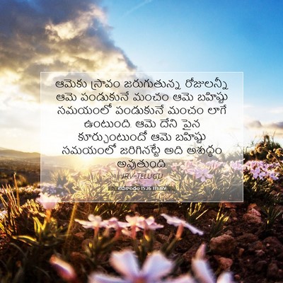 Picture 07 - లేవీకాండం 15:26 TELIRV - ఆమెకు స్రావం - Bible Verse Picture