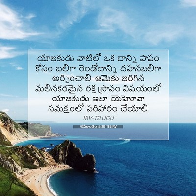 Picture 07 - లేవీకాండం 15:30 TELIRV - యాజకుడు వాటిలో ఒక - Bible Verse Picture