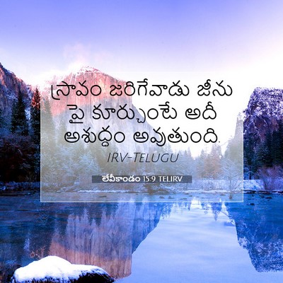 Picture 07 - లేవీకాండం 15:9 TELIRV - స్రావం జరిగేవాడు - Bible Verse Picture