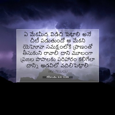Picture 07 - లేవీకాండం 16:10 TELIRV - ఏ మేకమీద ‘విడిచి - Bible Verse Picture