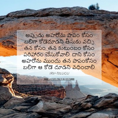 Picture 07 - లేవీకాండం 16:11 TELIRV - అప్పుడు అహరోను - Bible Verse Picture